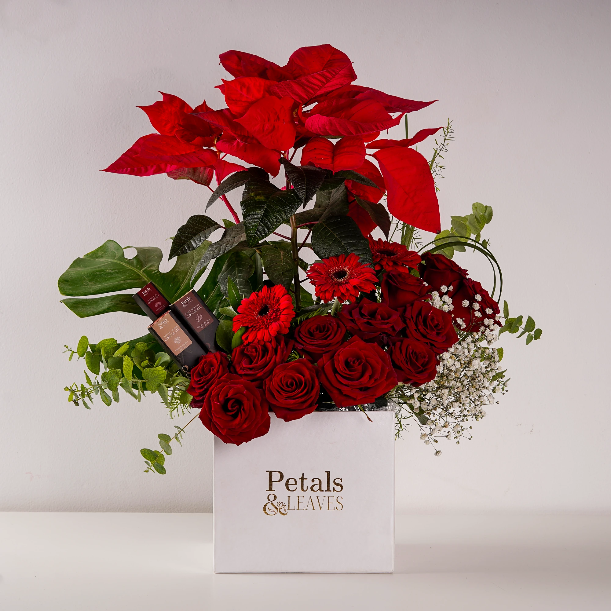 4_ForWeb Poinsettia in Style - Image 1