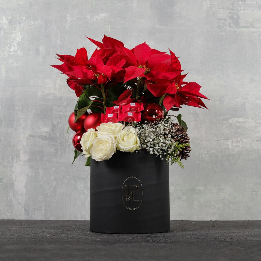 Poinsettia Christmas-scaled poinsettia-christmas