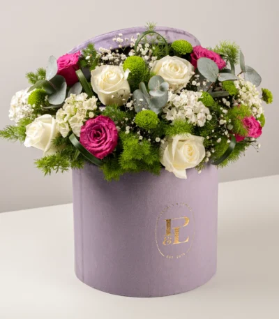 Party Time Box