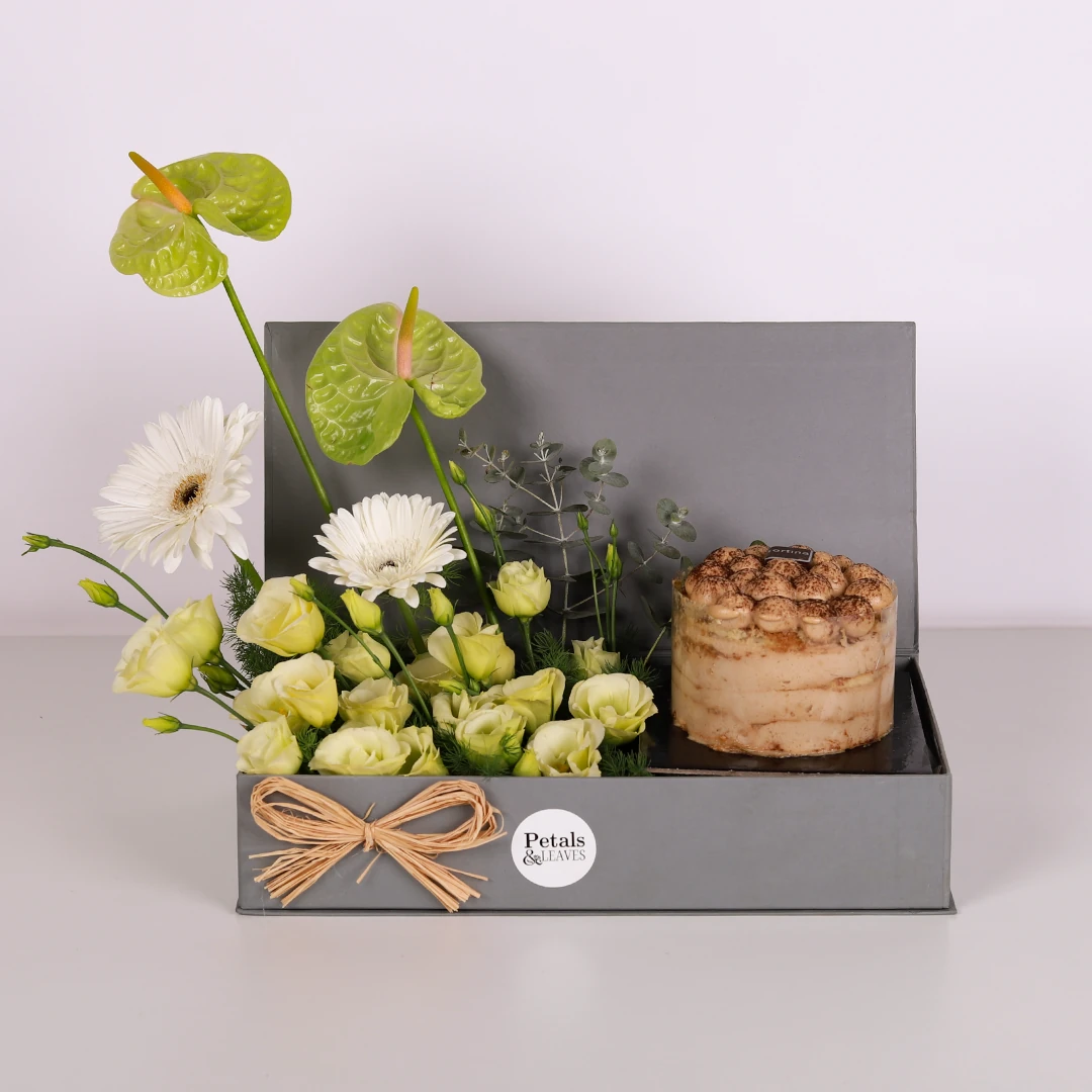 Green Serenity Tiramisu Box Green Serenity Tiramisu Box