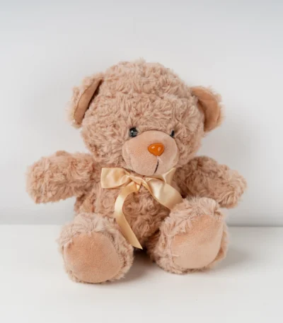 Charming Teddy Bear