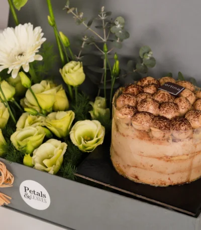 Green Serenity Tiramisu Box