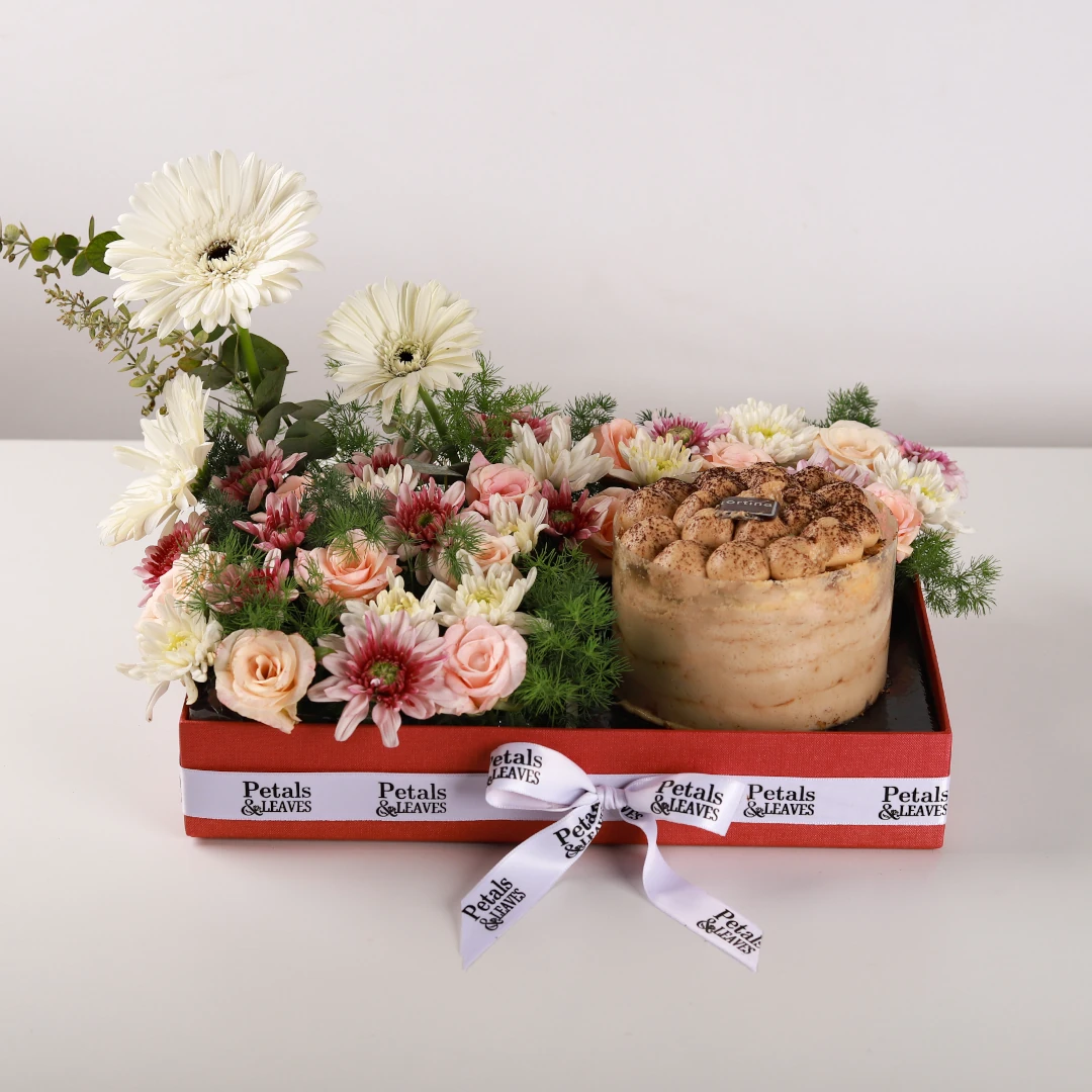Tiramisu Harmony Box Tiramisu Harmony Box