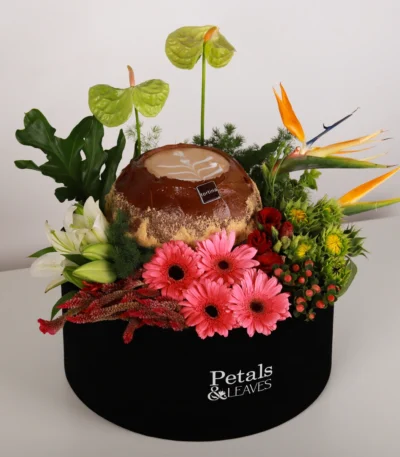 Latte Treasure Box
