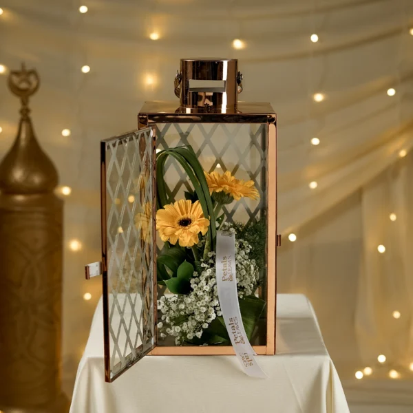 Dayّ  Lantern