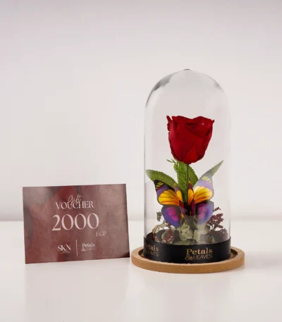 the-eternal-glow-rose-rose-dome