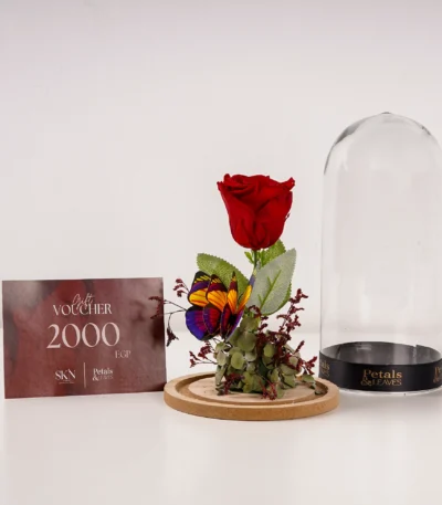 the-eternal-glow-rose-rose-dome